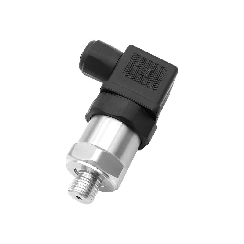 Transducteur de pression ATEX CE 4-20mA 0.5-4.5V I2C -100kpa-100MP pour air et eau, capteur émetteur de pression absolue sous vide